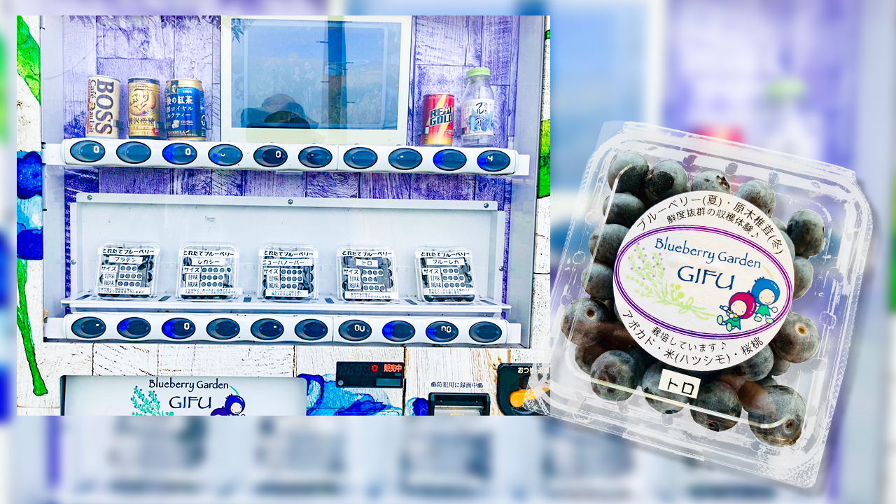 販売しているブルーベリー
